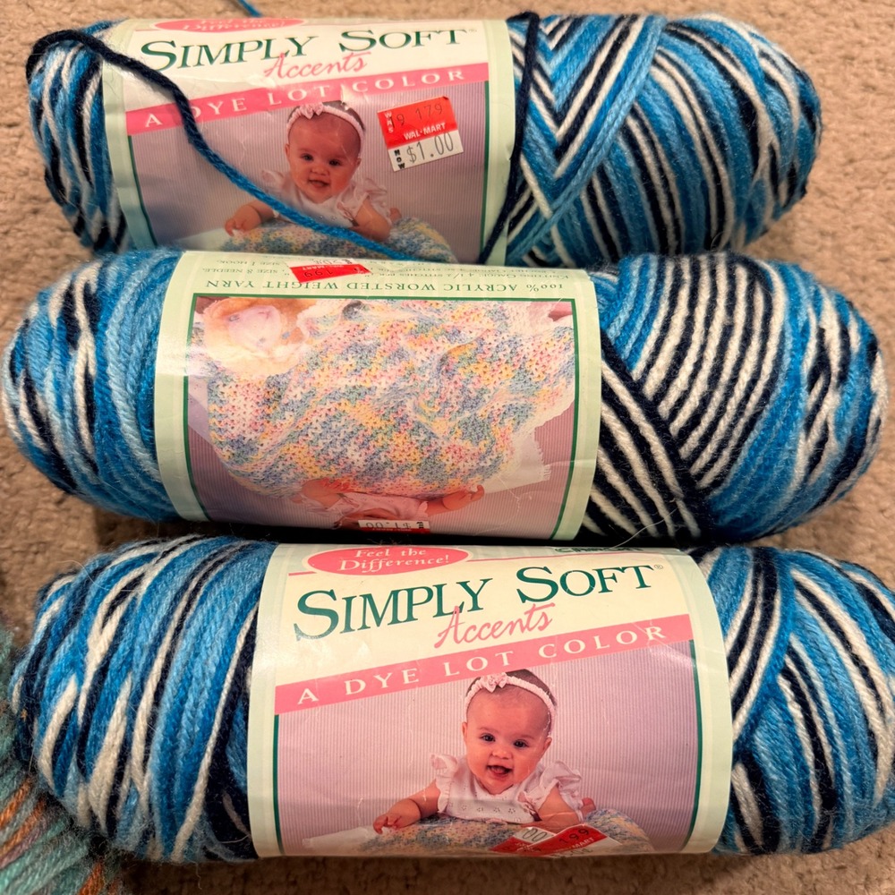 1999 Caron Simply Soft Accents Yarn Island Morning Ombre 3 Skeins C9700